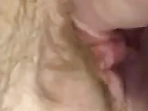 Lexii Sapphire tears up her creamy pussy with a massive faux-cock and a pearly slit